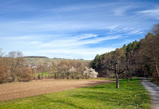 23-03-17 10-53-05 4882